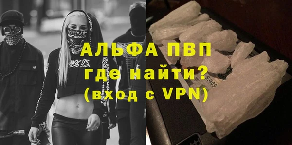 индика Нязепетровск
