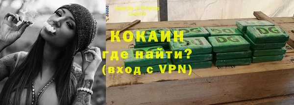 индика Нязепетровск