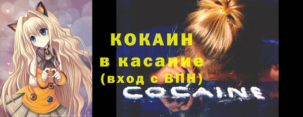 индика Нязепетровск
