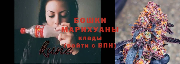 индика Нязепетровск