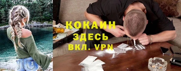 индика Нязепетровск