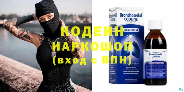 индика Нязепетровск