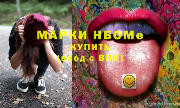 индика Нязепетровск