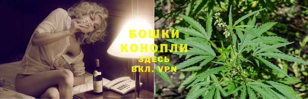 индика Нязепетровск