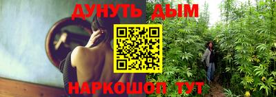 соль ск Гатчина