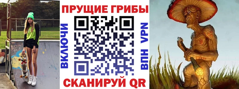 хочу   Котовск  ссылка на мегу зеркало  Галлюциногенные грибы Psilocybine cubensis 