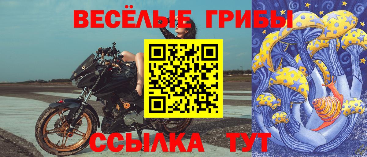 Псилоцибиновые грибы GOLDEN TEACHER  Котовск  что такое наркотик  Псилоцибиновые грибы мицелий 