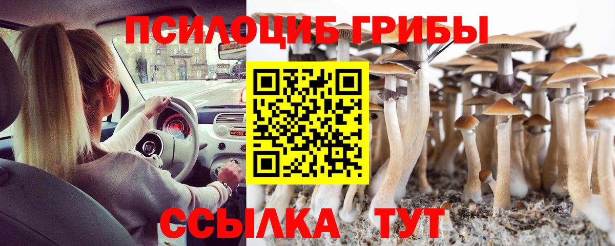 Галлюциногенные грибы Psilocybe  Псилоцибиновые грибы Psilocybine cubensis  Котовск  Вход с VPN 