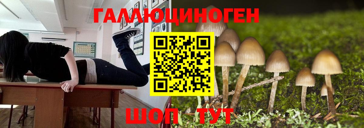 Галлюциногенные грибы прущие грибы Котовск