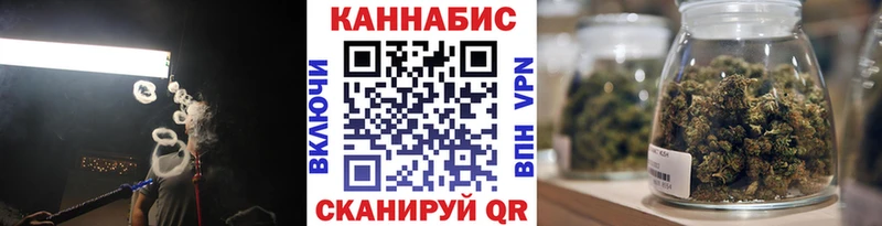 Бошки Шишки сатива  где найти наркотики  Котовск 
